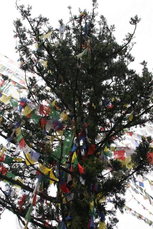 India & Nepal 2011 - 0372